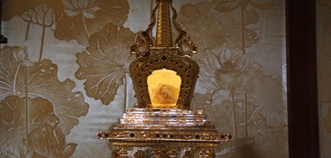 [TRỰC TUYẾN] Đức Quyền Pháp chủ GHPGVN chia sẻ kinh nghiệm tu tập với các Tăng Ni trẻ缩略图