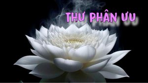 Thư Phân ưu – chia buồn về sự ra đi của cụ bà Nguyễn Thị Đỏ