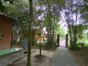 ✨Góp Sức Chung Tay – Kiến Tạo Mùa Hè Ý Nghĩa✨