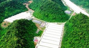 5 người tử vong trong vụ tai nạn tại trang trại lợn ở Thanh Hóa
