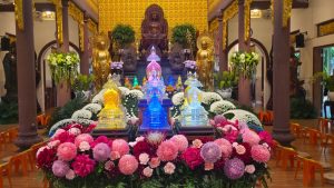 BẢN TIN AN CƯ: NGÀY THỨ 38-39