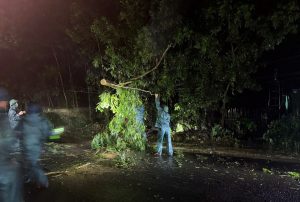 Bão số 1 hoành hành Móng Cái suốt đêm: Cây đổ, mái tôn bay, nhiều nơi mất điện