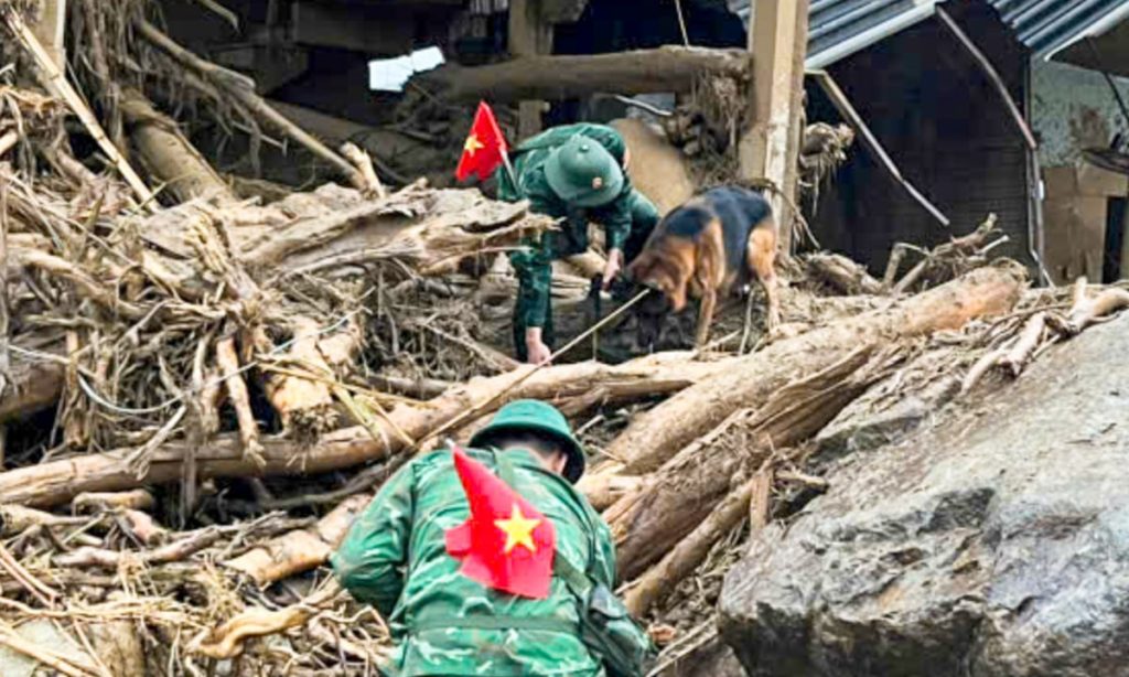 Huy động thêm chó nghiệp vụ đến tâm lũ Lai Châu tìm người mất tích缩略图 Huy động thêm chó nghiệp vụ đến tâm lũ Lai Châu tìm người mất tích