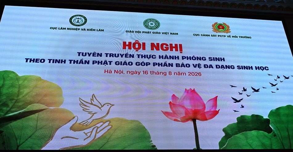 Hà Nội: Hội nghị tuyên truyền thực hành phóng sinh theo tinh thần Phật giáo góp phần bảo vệ đa dạng sinh học缩略图 Hà Nội: Hội nghị tuyên truyền thực hành phóng sinh theo tinh thần Phật giáo góp phần bảo vệ đa dạng sinh học