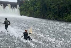 Bắc Ninh: Bất chấp nước lũ chảy xiết, nhiều người vẫn lao xuống đập tràn bắt cá