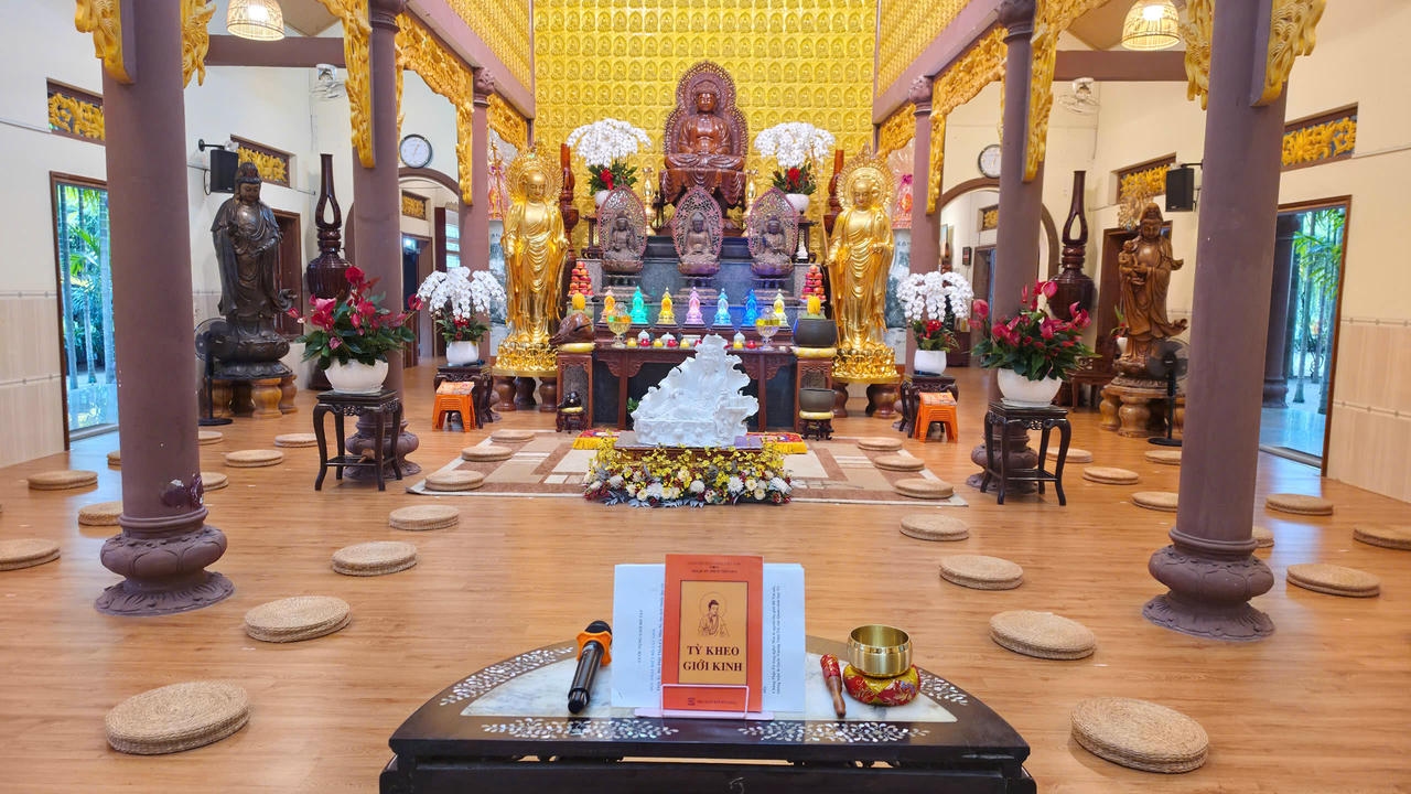 BẢN TIN AN CƯ: NGÀY THỨ 75