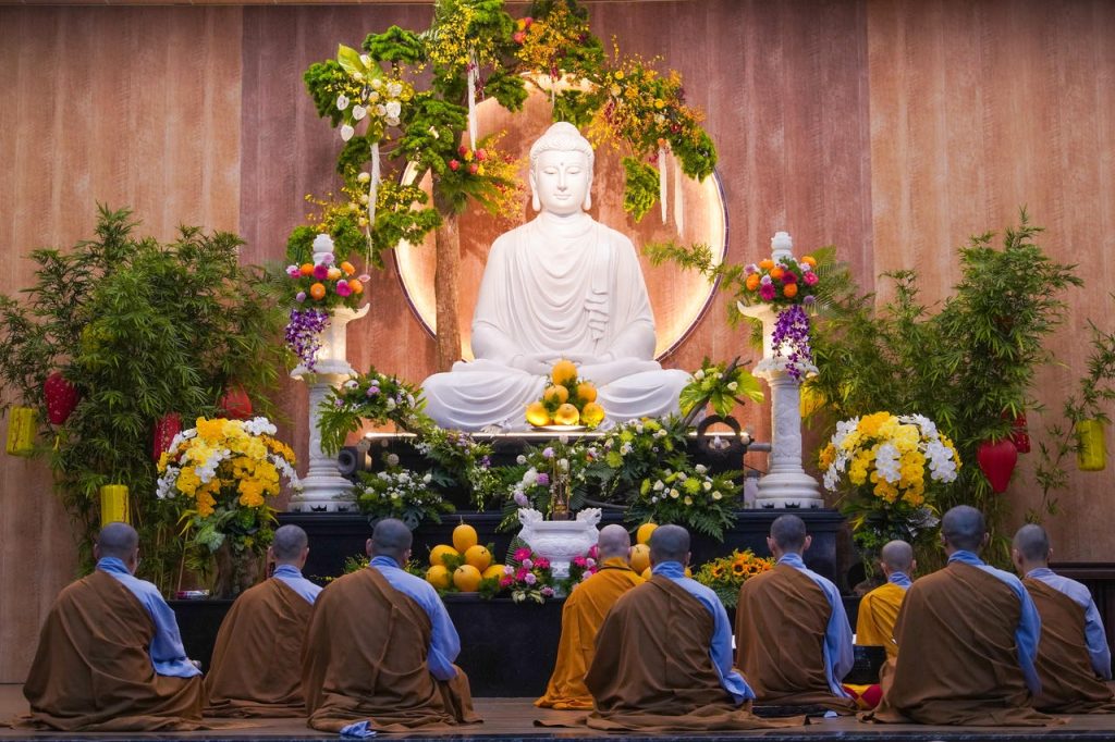 Chủ đề “CON NÀO CÓ HAY”缩略图 Chủ đề “CON NÀO CÓ HAY”