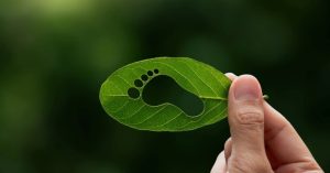 Mở rộng cánh cửa cho sản phẩm chăn nuôi Việt Nam bằng nhãn sinh thái “Dấu chân các-bon thấp”