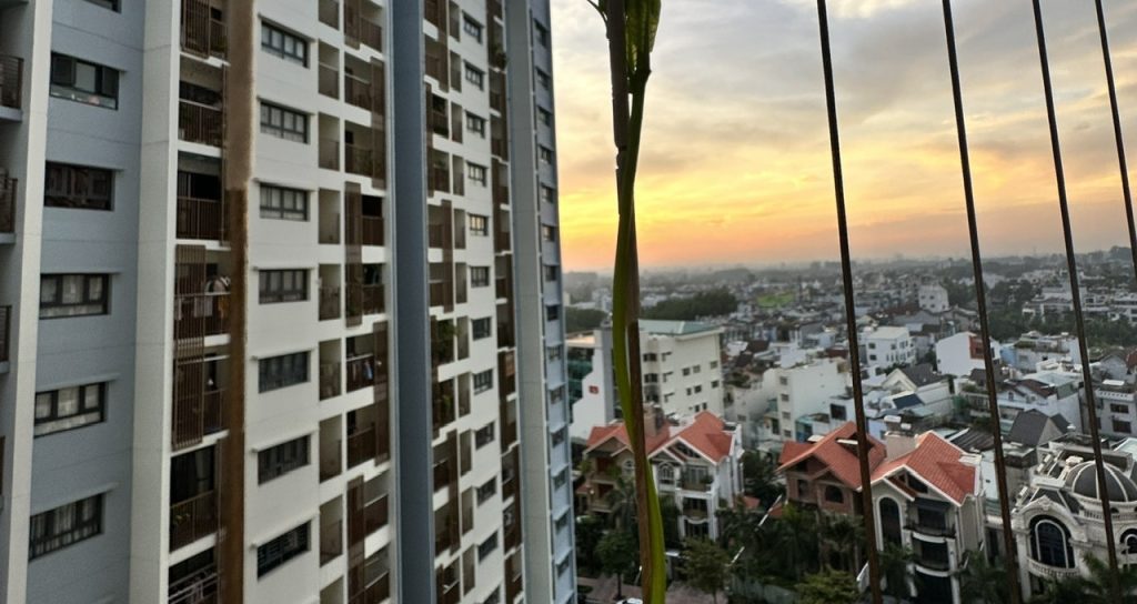Vắng giúp việc vài ngày, nữ giám đốc xinh đẹp khiến chồng ngỡ ngàng