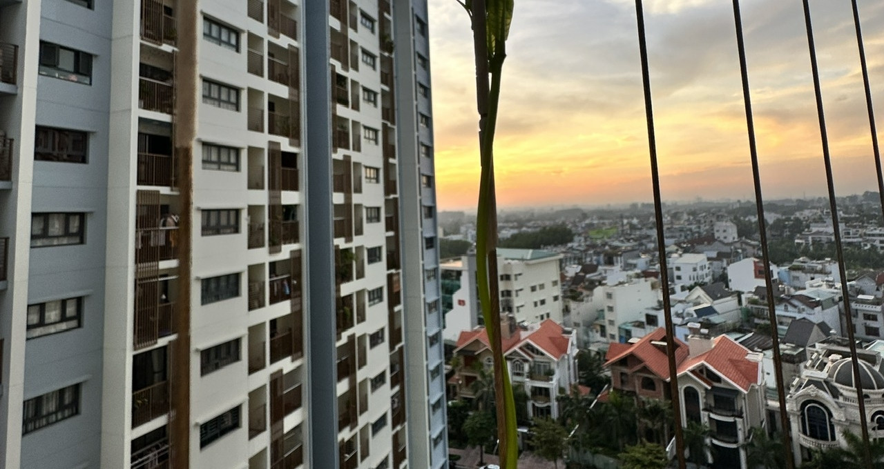 Vắng giúp việc vài ngày, nữ giám đốc xinh đẹp khiến chồng ngỡ ngàng