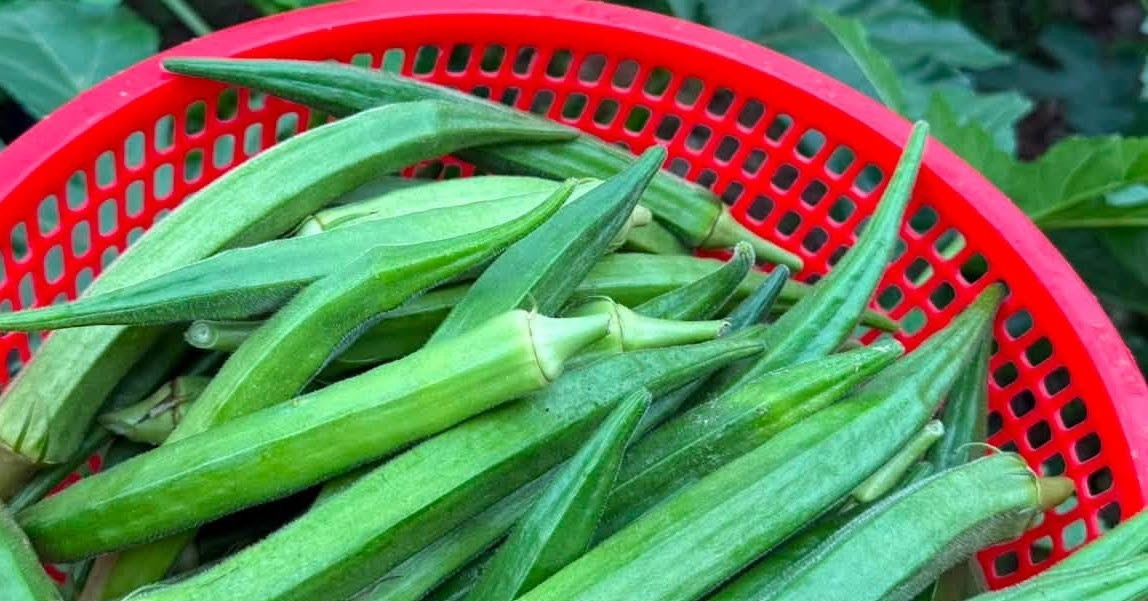 Loại quả rẻ bèo bán đầy chợ giúp kiểm soát đường huyết hiệu quả