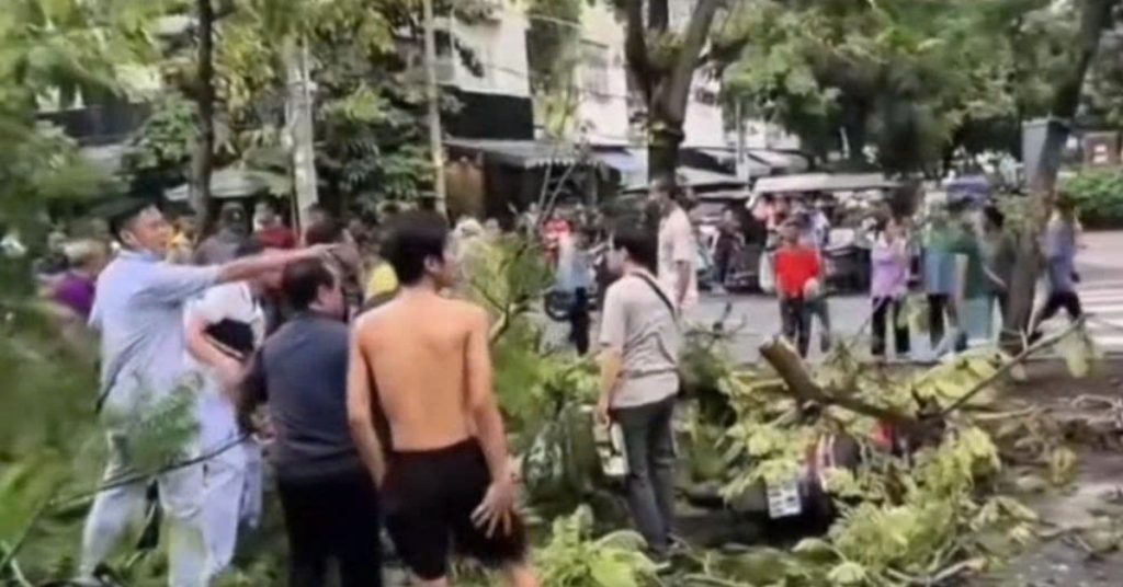 Cây phượng bật gốc đè tử vong người đàn ông dừng xe trên vỉa hè ở TPHCM