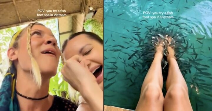 Khách Tây đi massage vịt, cá ở Việt Nam khen &amp;apos;kỹ thuật viên rất tốt, rất hài&amp;apos;