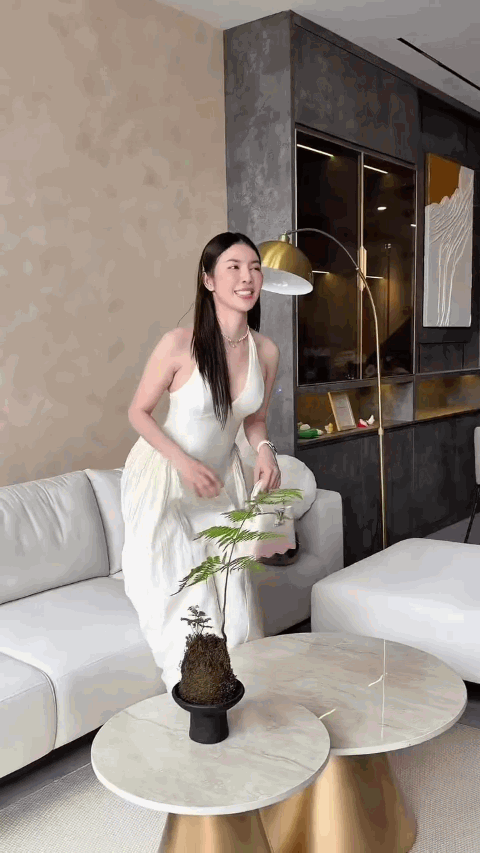 Mỹ nhân miền Tây 8 lần thi hoa hậu: 23 tuổi tậu nhà riêng, nay lại sắm thêm cơ ngơi hoành tráng