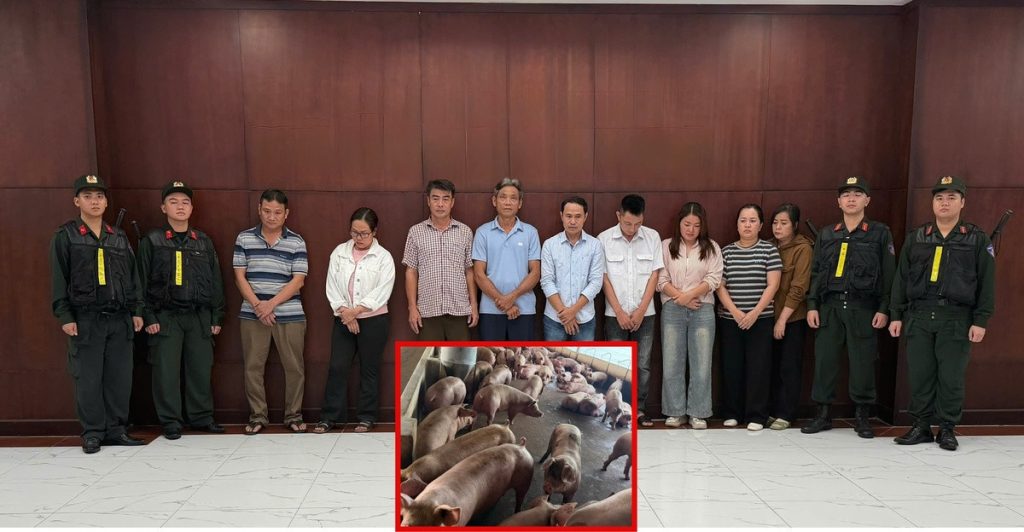 Triệt phá đường dây đưa hơn 10.000 tấn heo nhiễm chất cấm ra thị trường